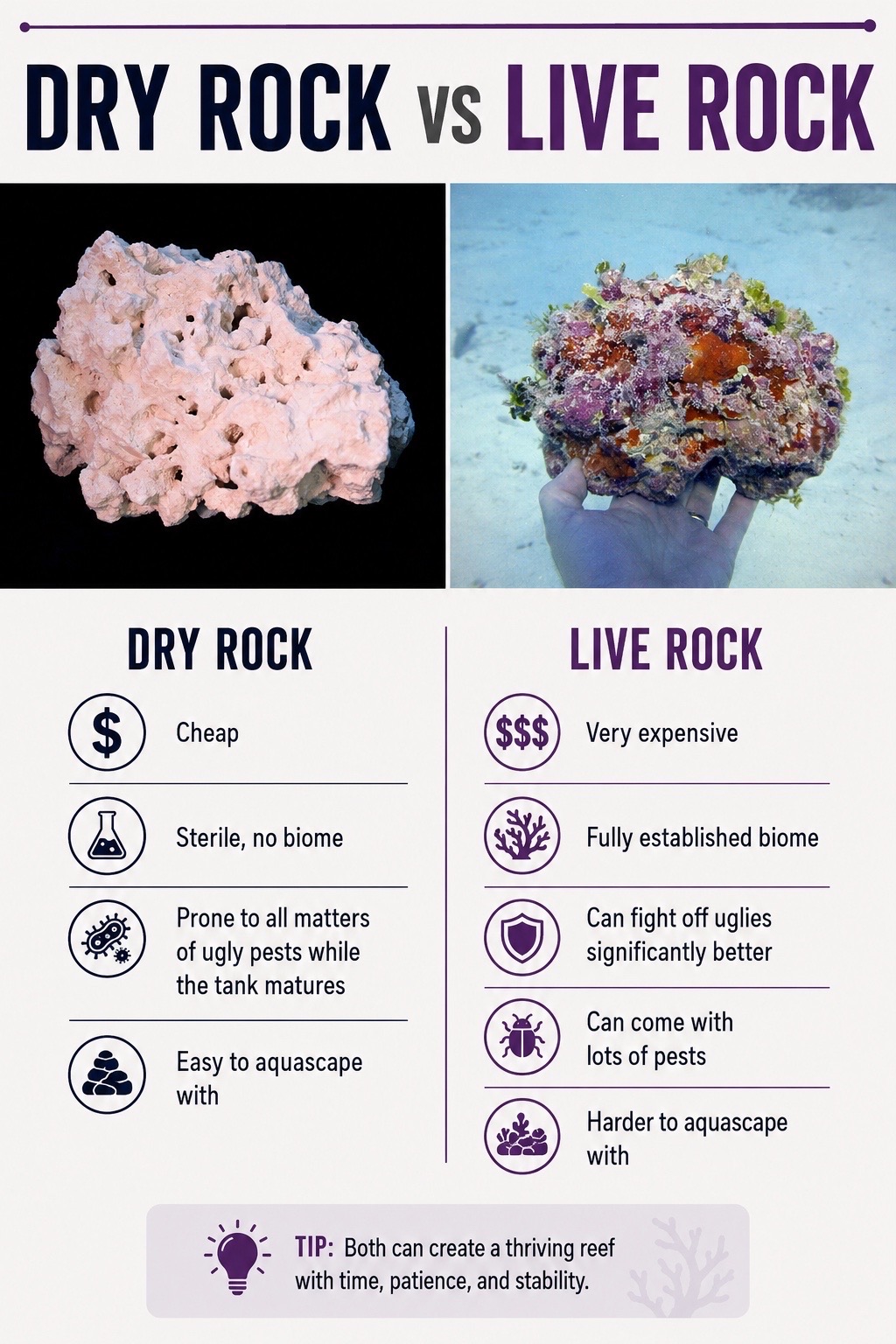 @ReefTok