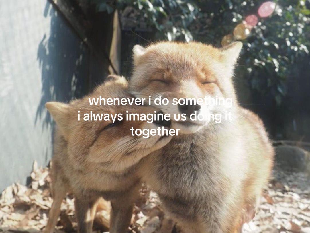 @💤