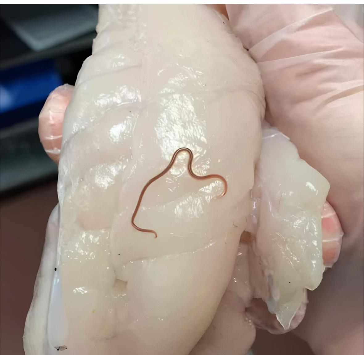 @محارب الظلام