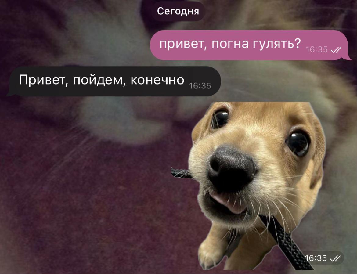 @никчя