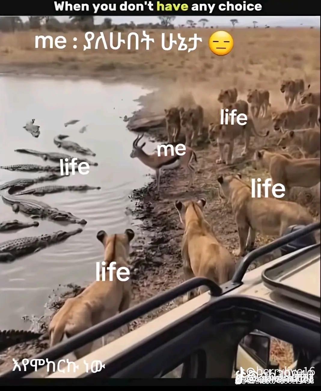 @𝐦𝐮𝐮𝐬𝐚𝐚 💫🪄