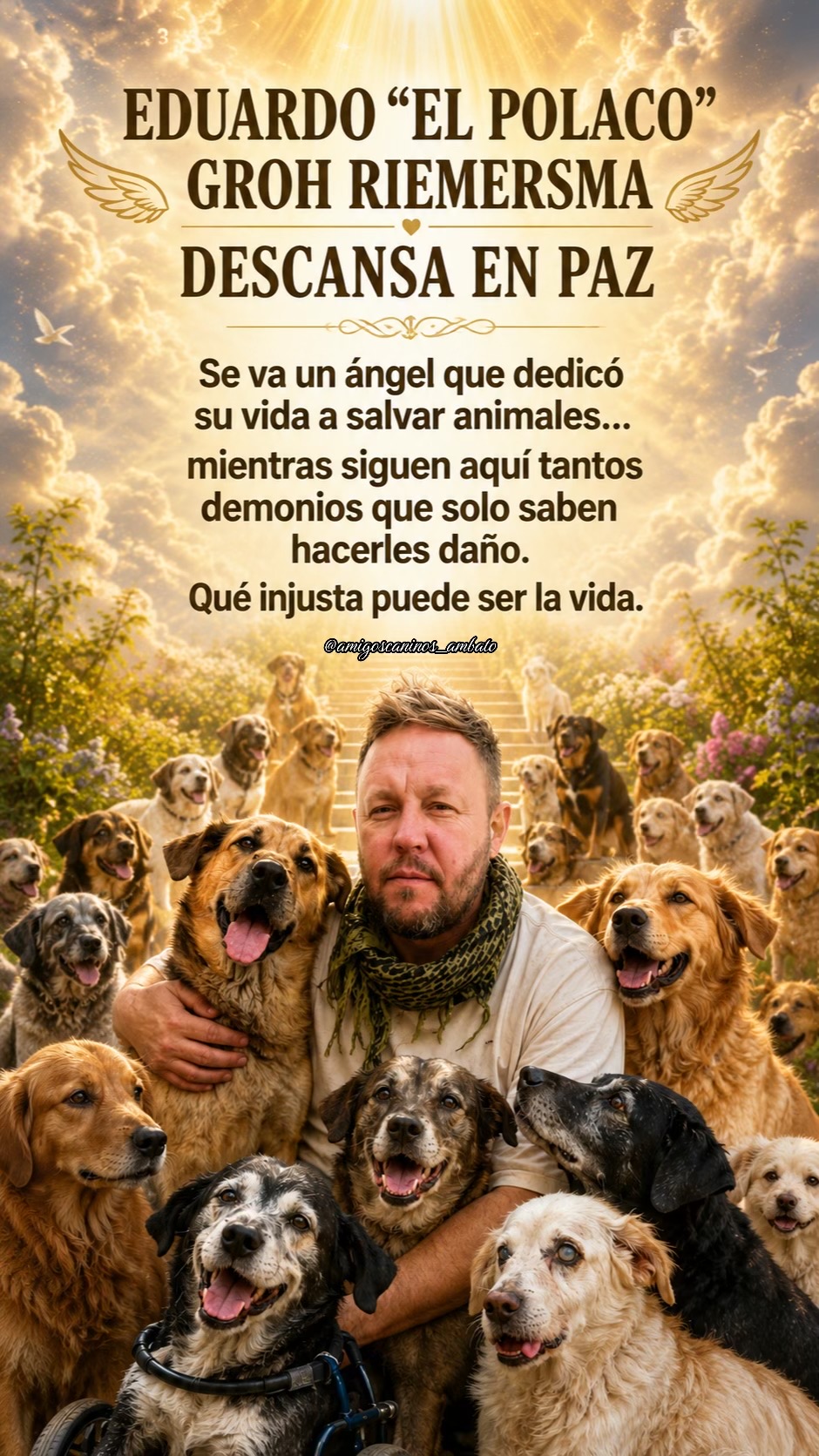 @Amigoscaninos_Ambato
