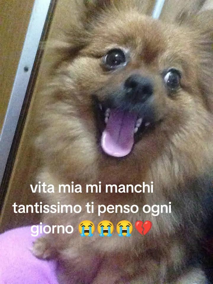 @Carmela Aiello