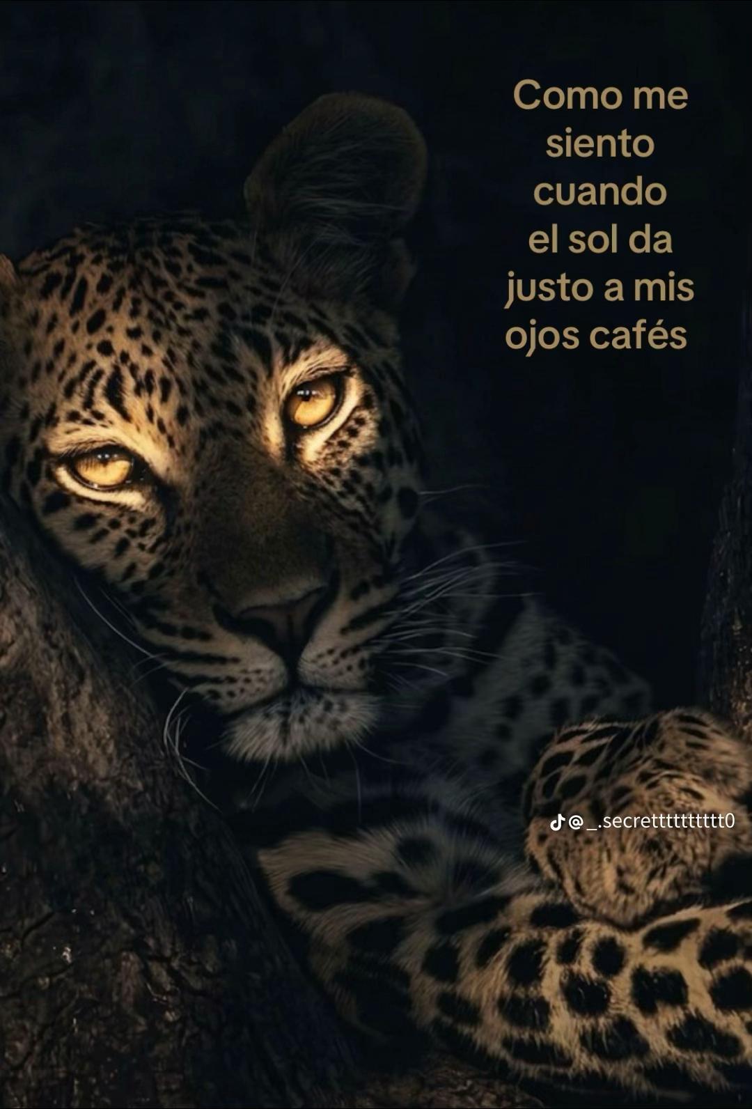 @Daimar Ayala
