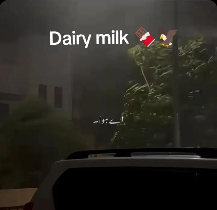 @🦅꧁☆★🍫Dₐᵢᵣy ₘᵢₗₖ🍫★☆꧂🦅