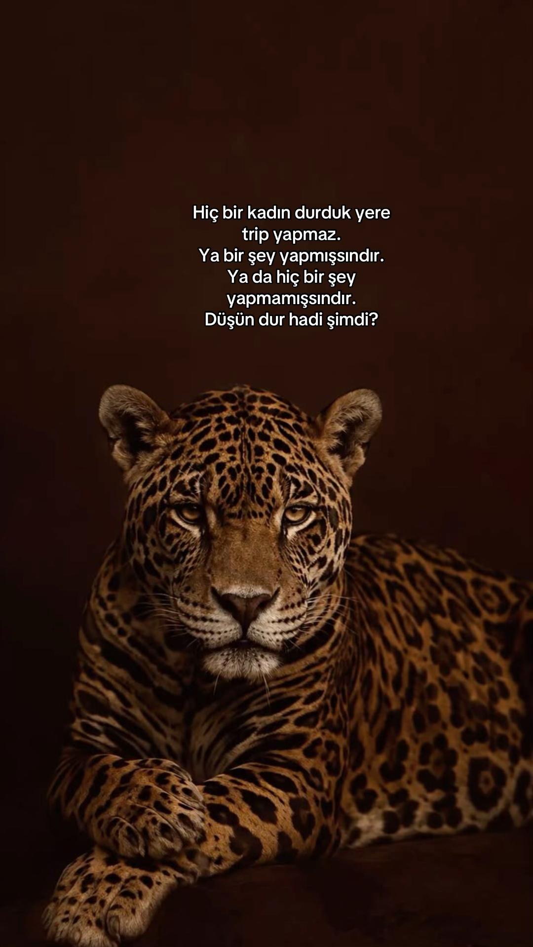 @kuralbenimmm