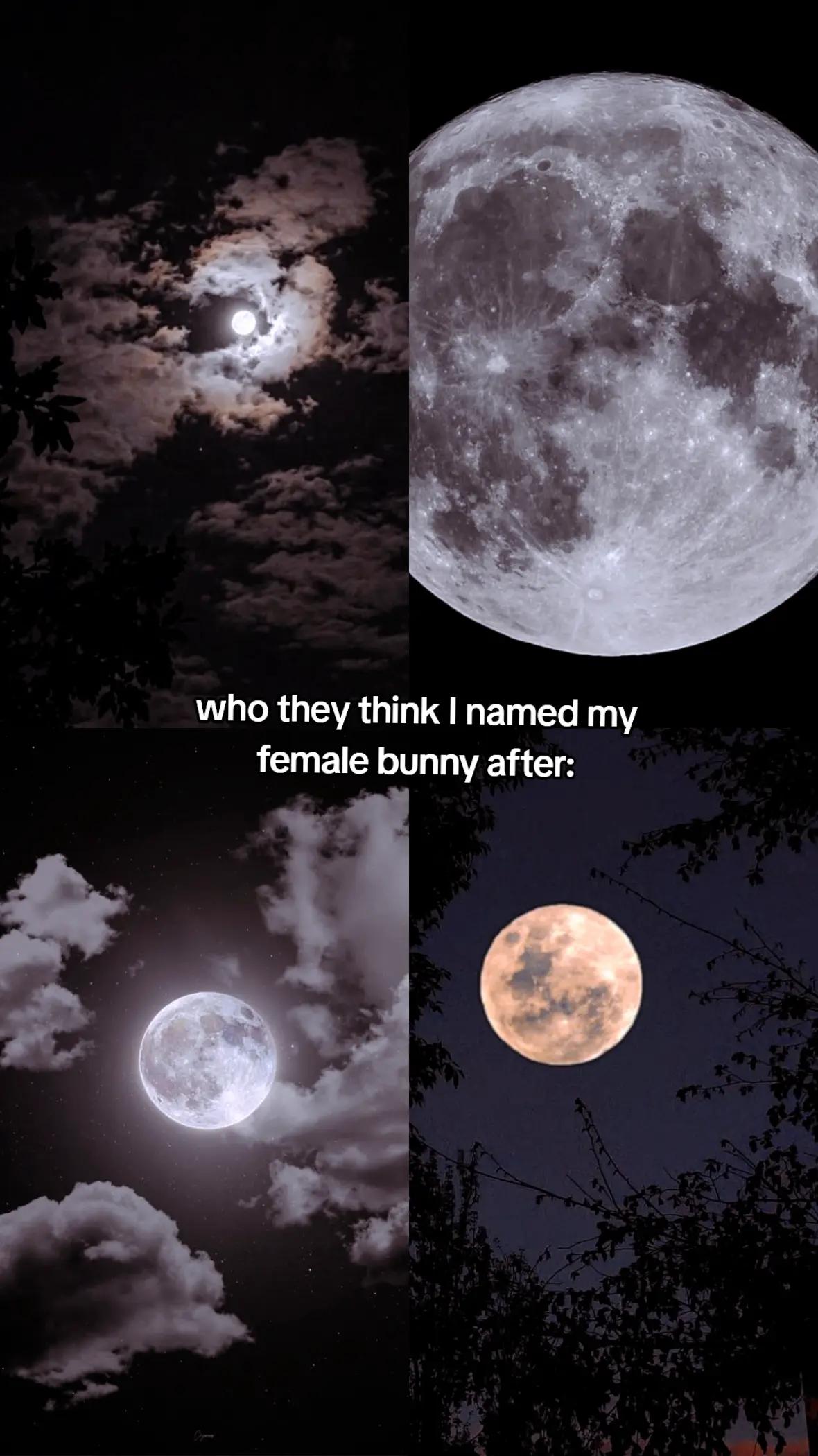 @&mdash; Annie ⚯ ͛ #9&frac34;