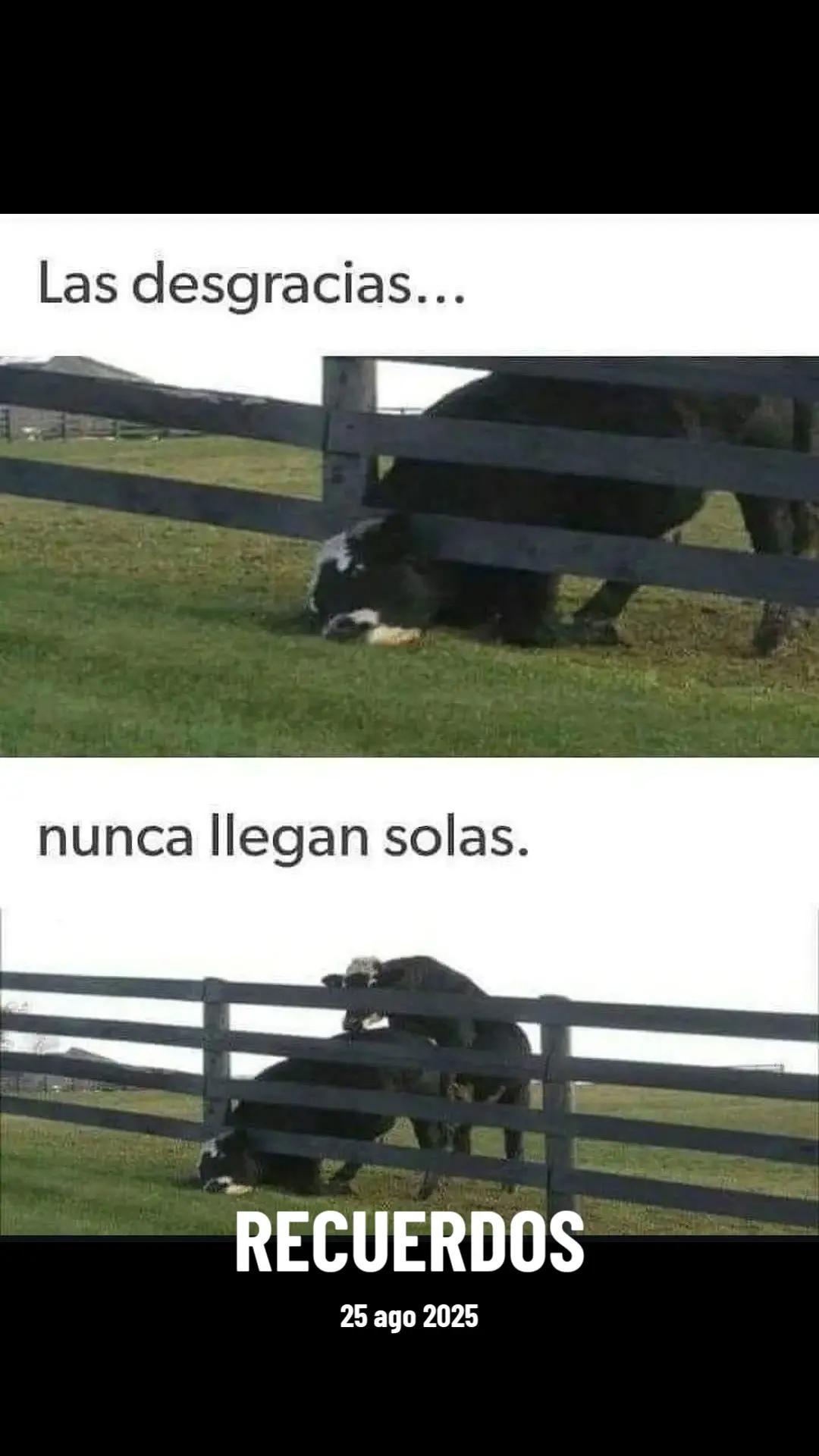 @Mauricio Klein