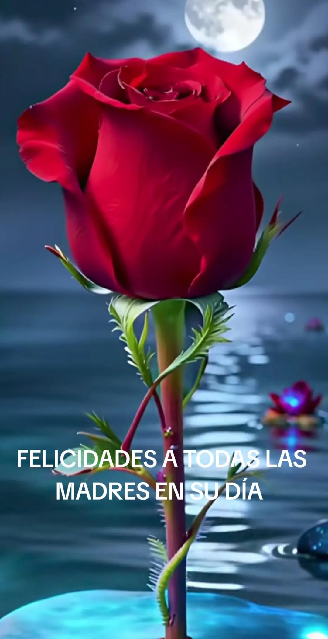 @Chapital