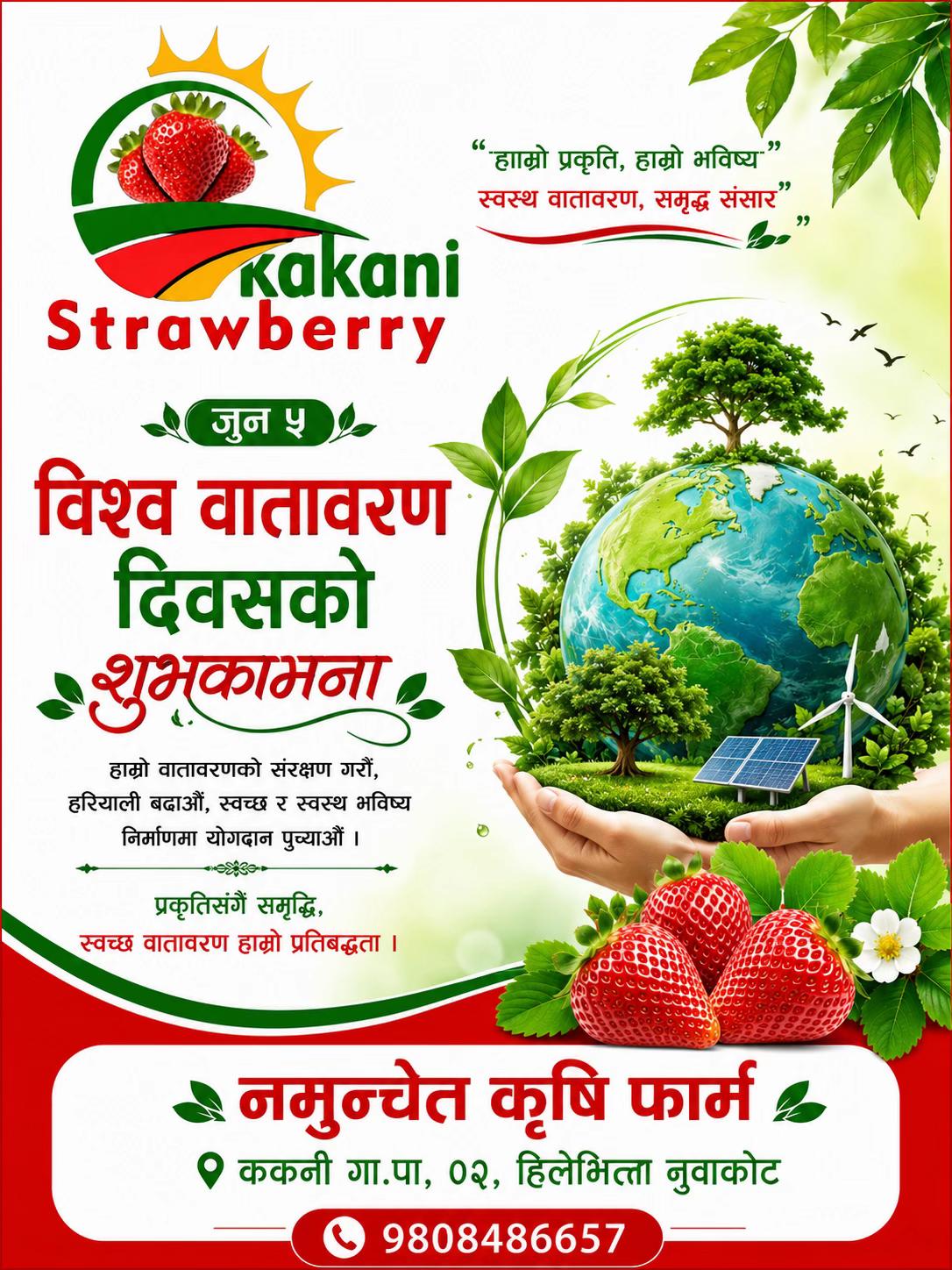 @kakani strawberry 🇳🇵🇳🇵