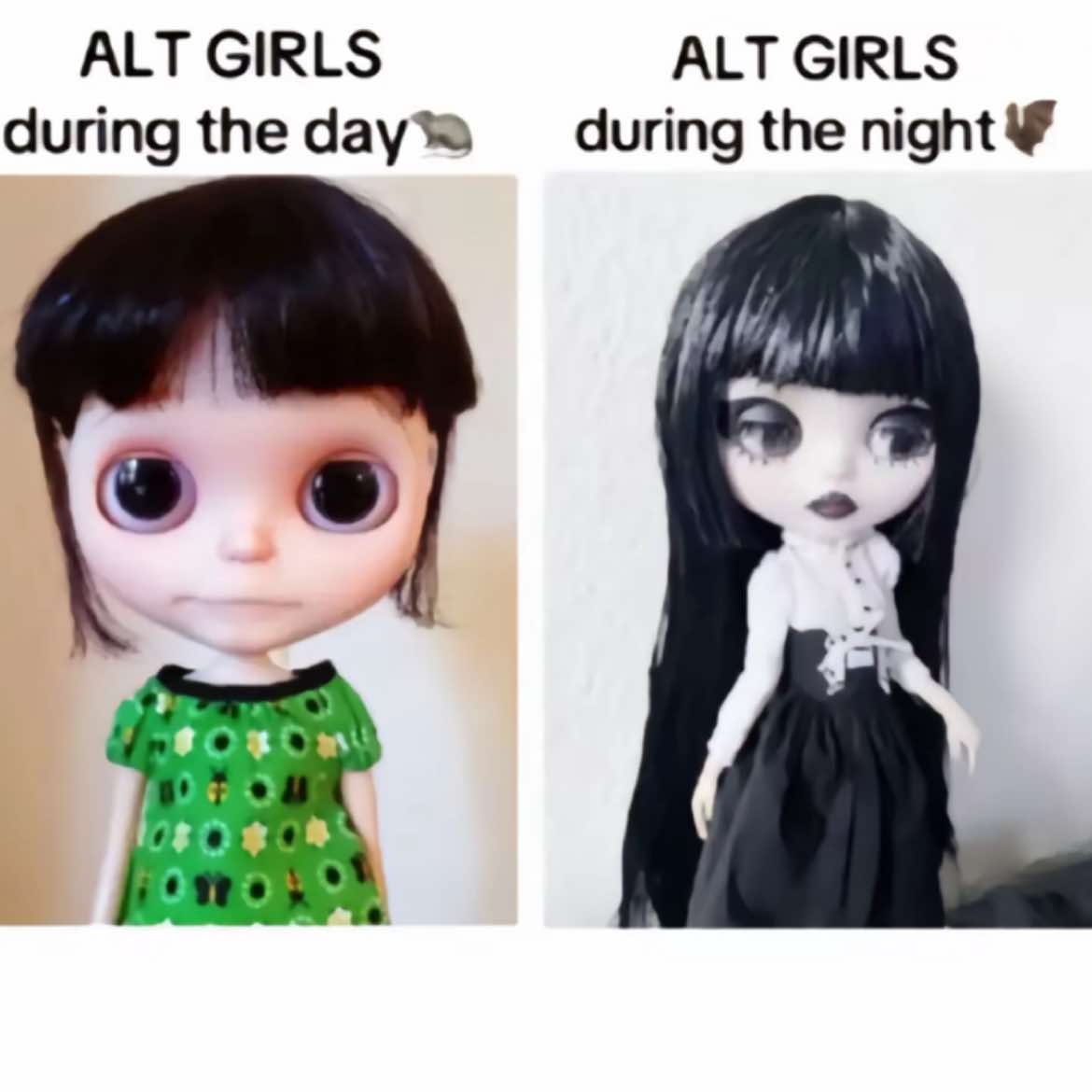 @Lottiiiii😽