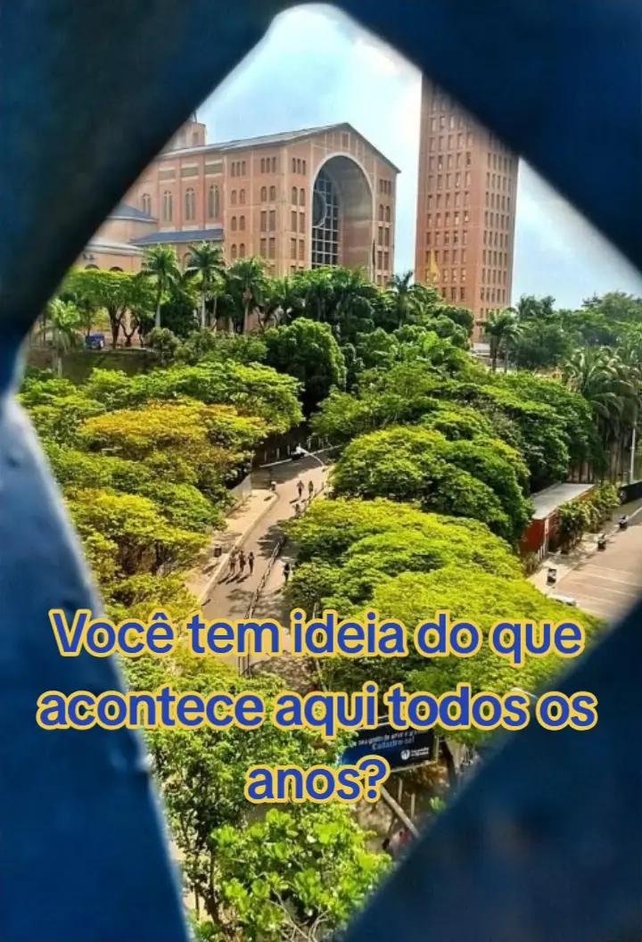 @vivernovale