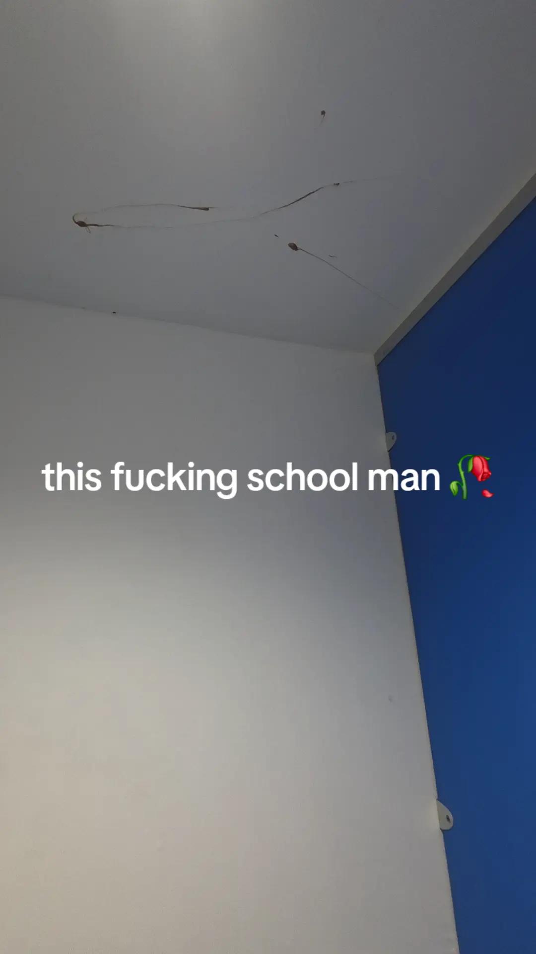 @j@ke🦎
