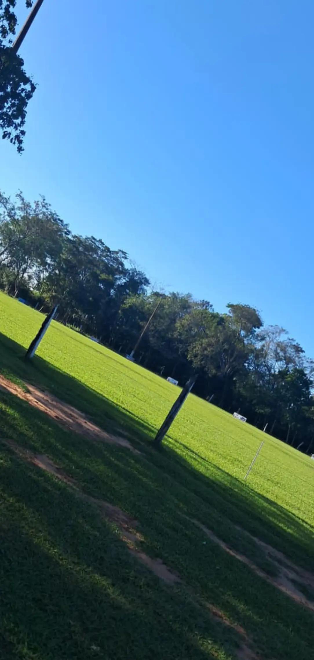 @Ramón