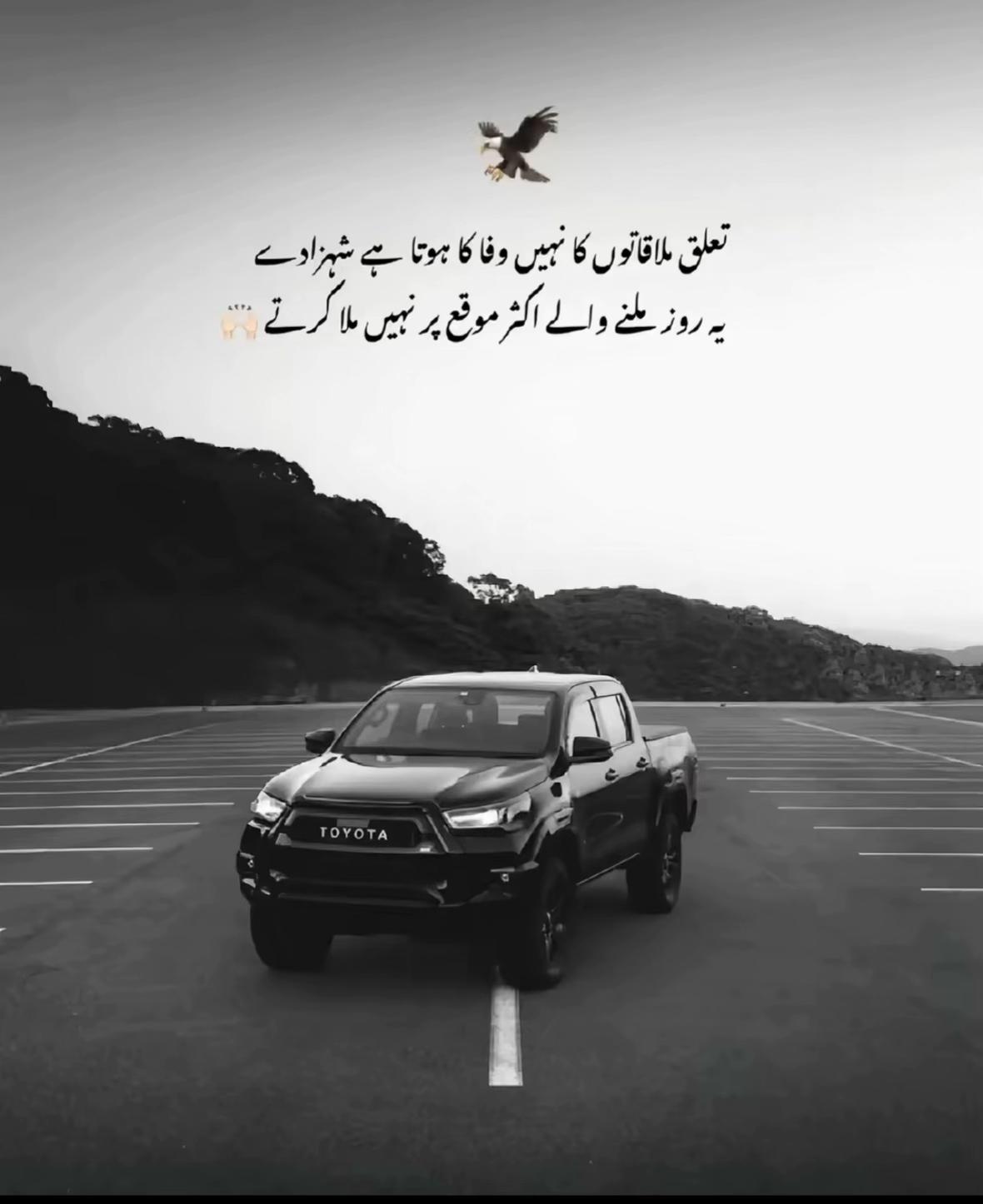 @زین راجا🥷