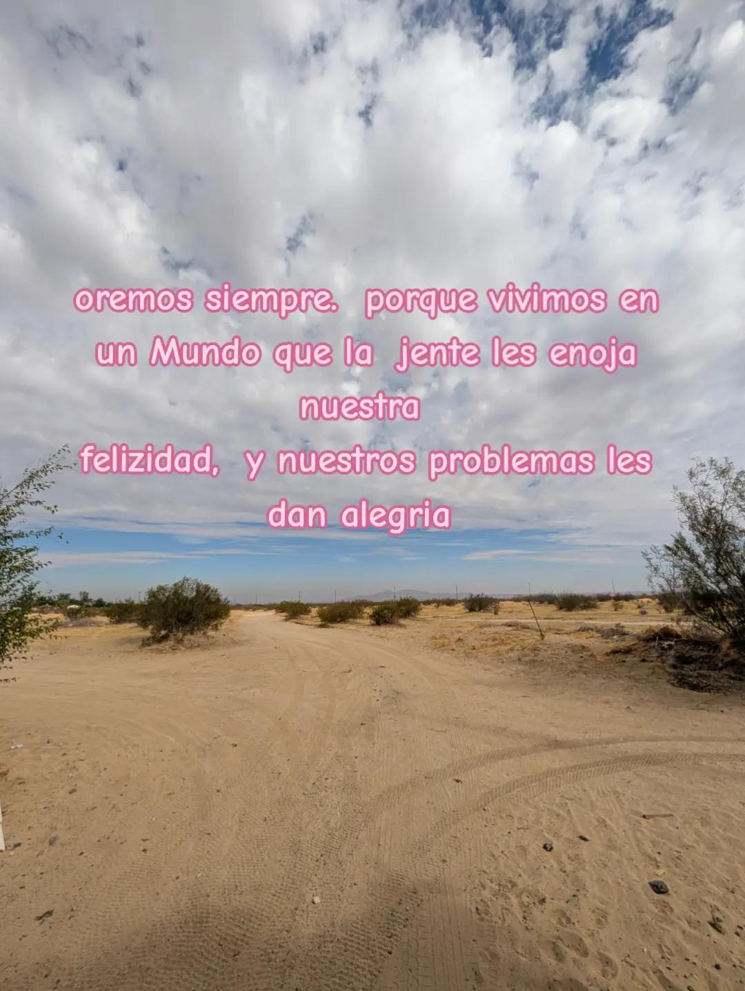 @Evelyn 🥰