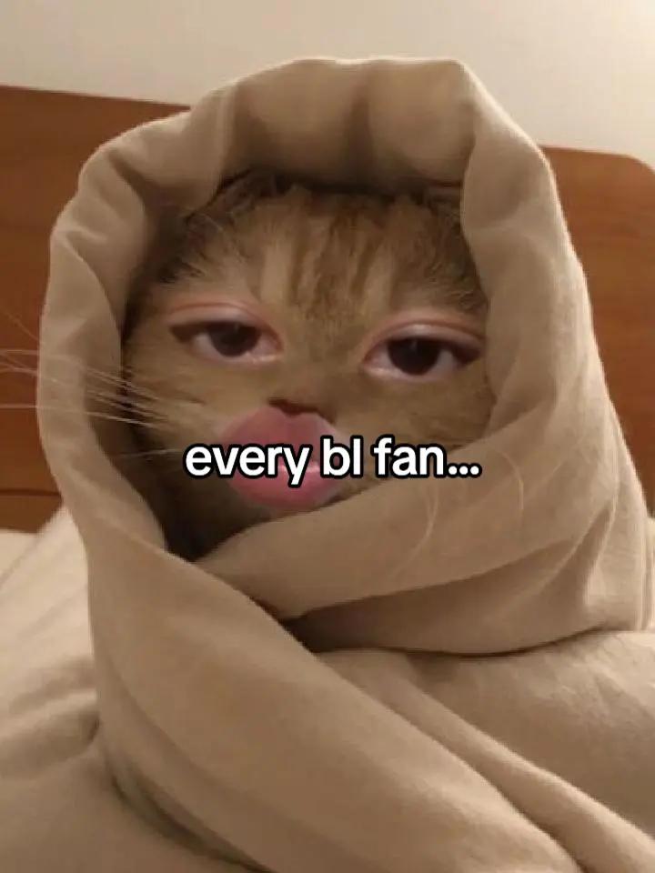 @️ mirae