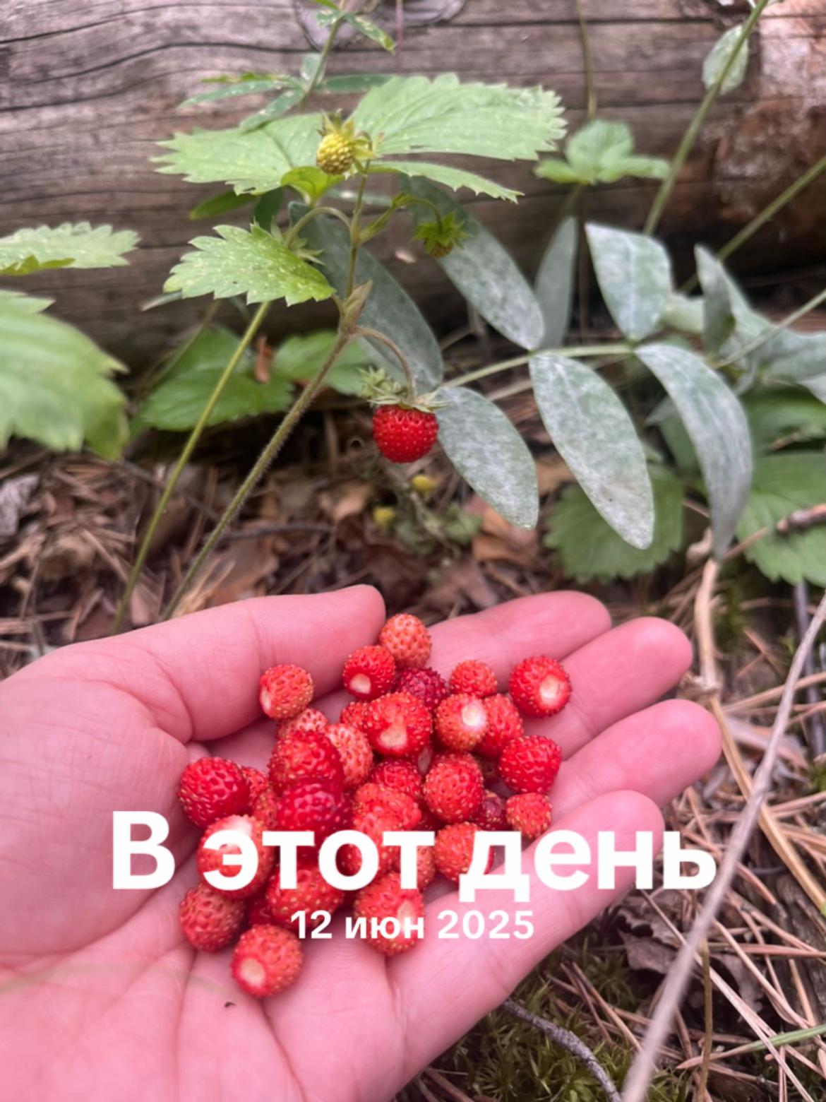 @Аренда апартаментов в Боровом.