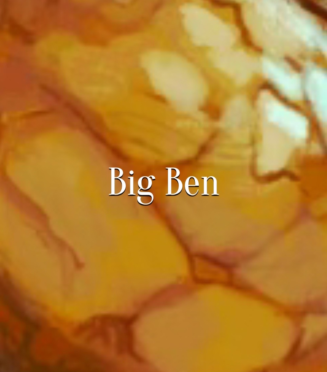 @Shy<3 DIGITAL COMS OPEN