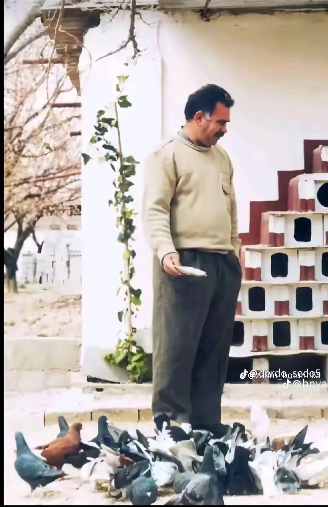 @Şervan_bdyy