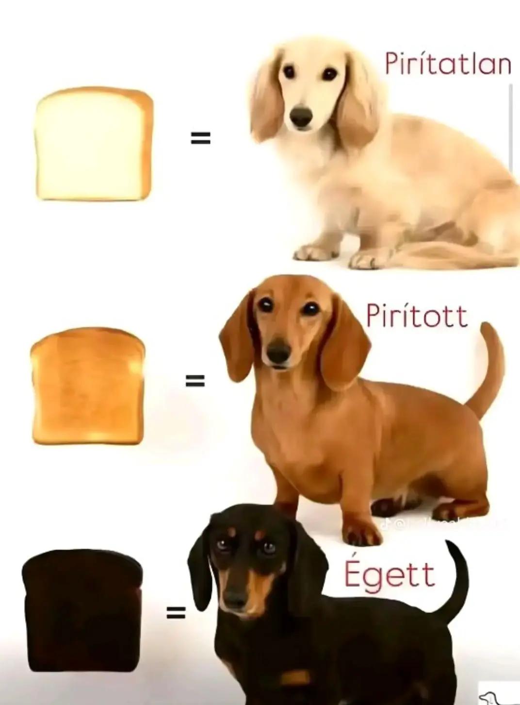 @𝒮𝒾𝓁𝓀 𝓀𝒾𝓉𝓉𝑒𝓃 🩷🐈&zwj;⬛🪽