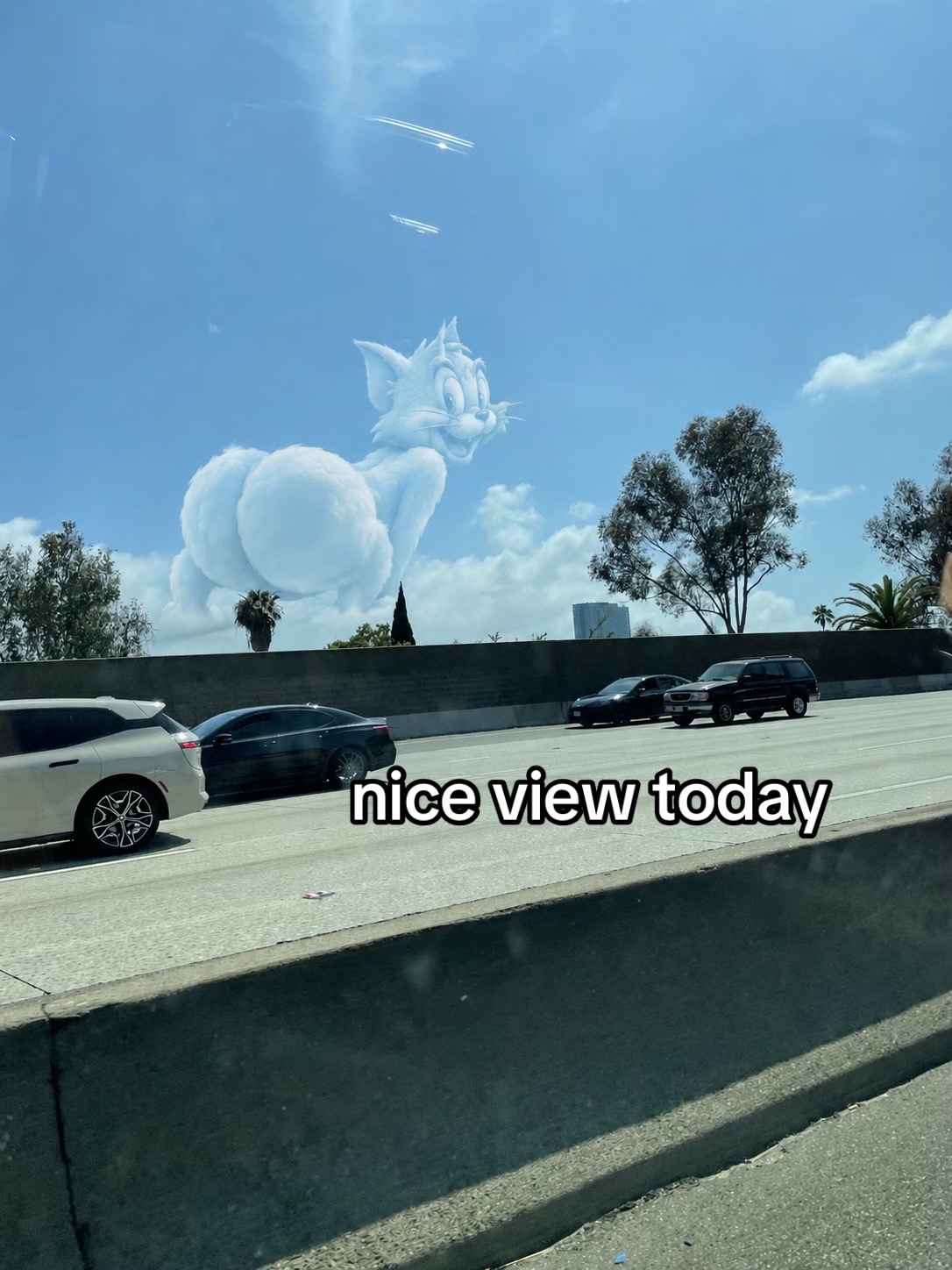 @𝐀𝐚𝐬𝐡𝐯𝐢 🌚