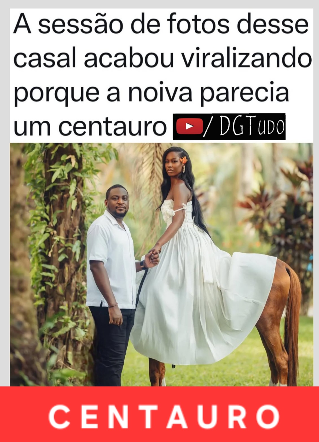 @DG TUDO