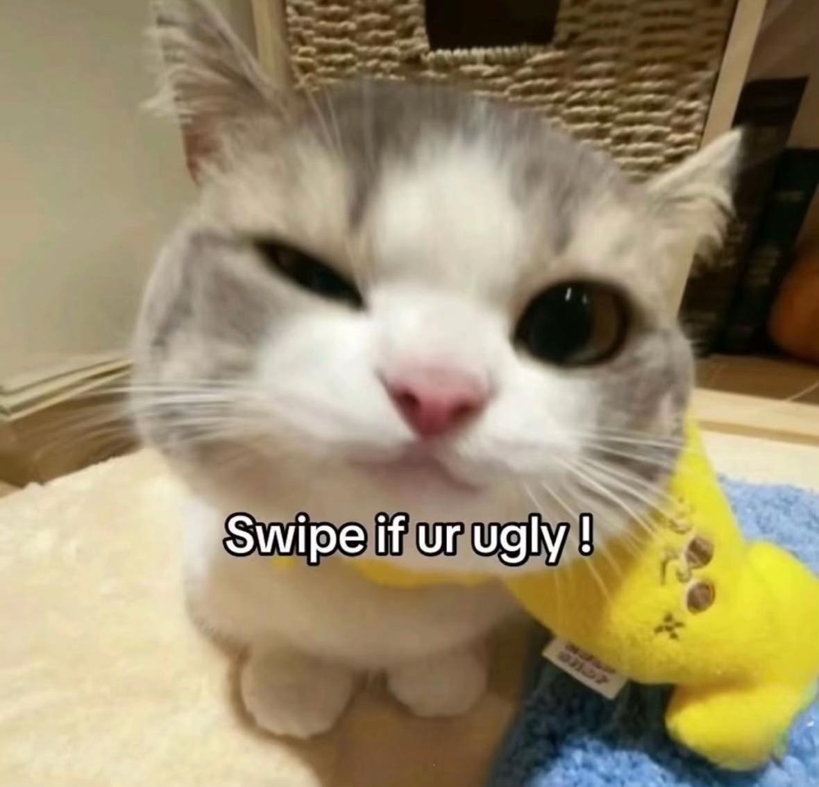 @๐๐๐น๐๐พ๐