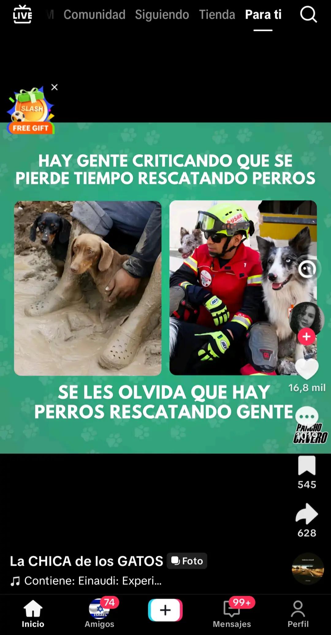 @Luz Adriana