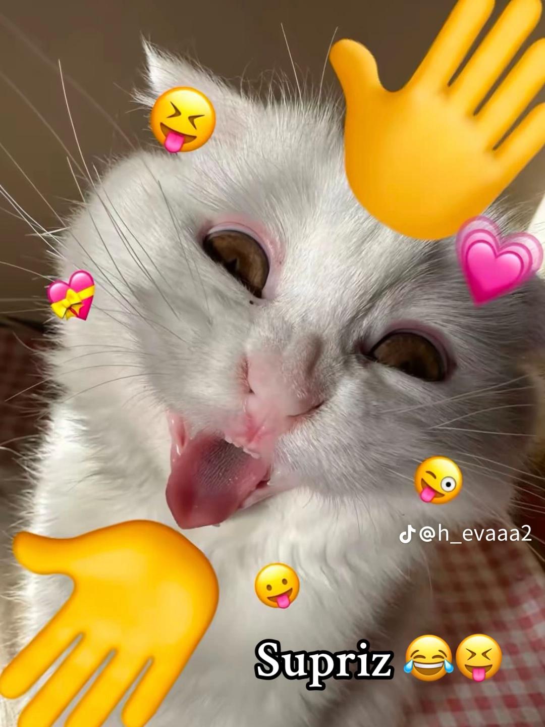 @๐ผ๐ผ๐ผ๐ผ๐ผ