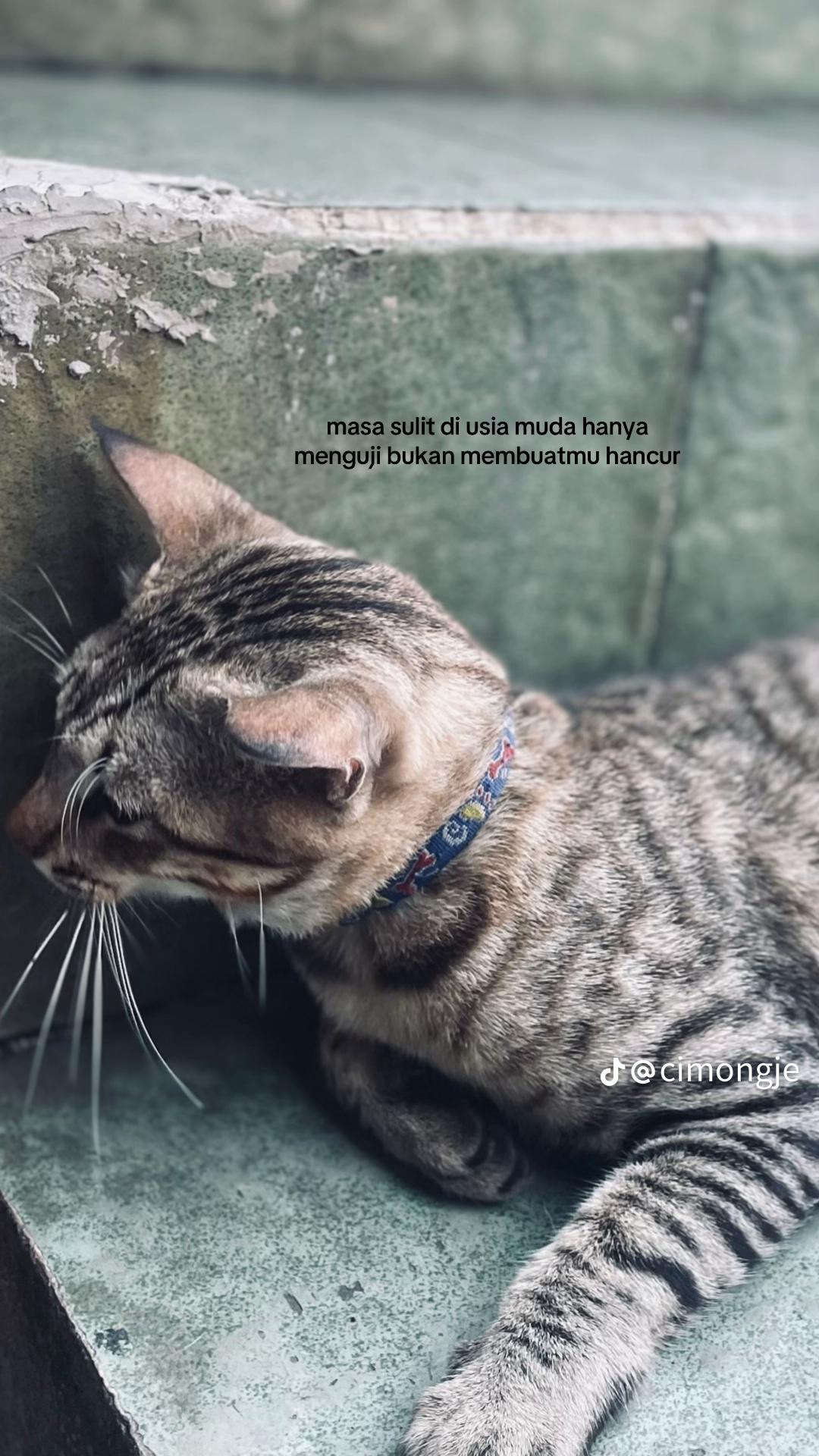@nazril_+_ 🇮🇩