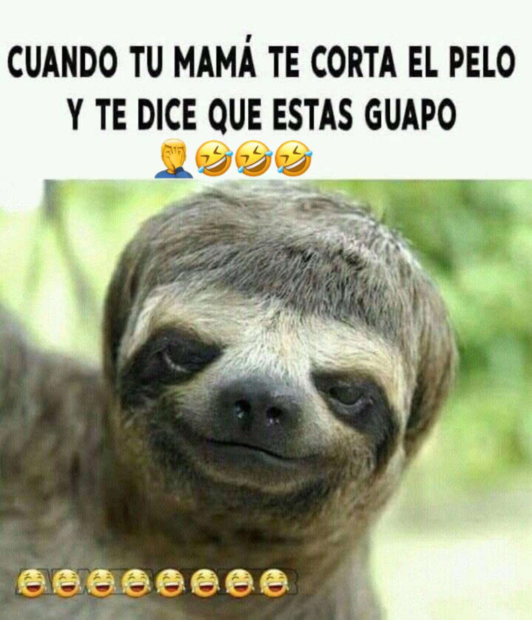 @Juan C. Torres