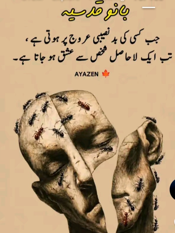 @Sahar Noor