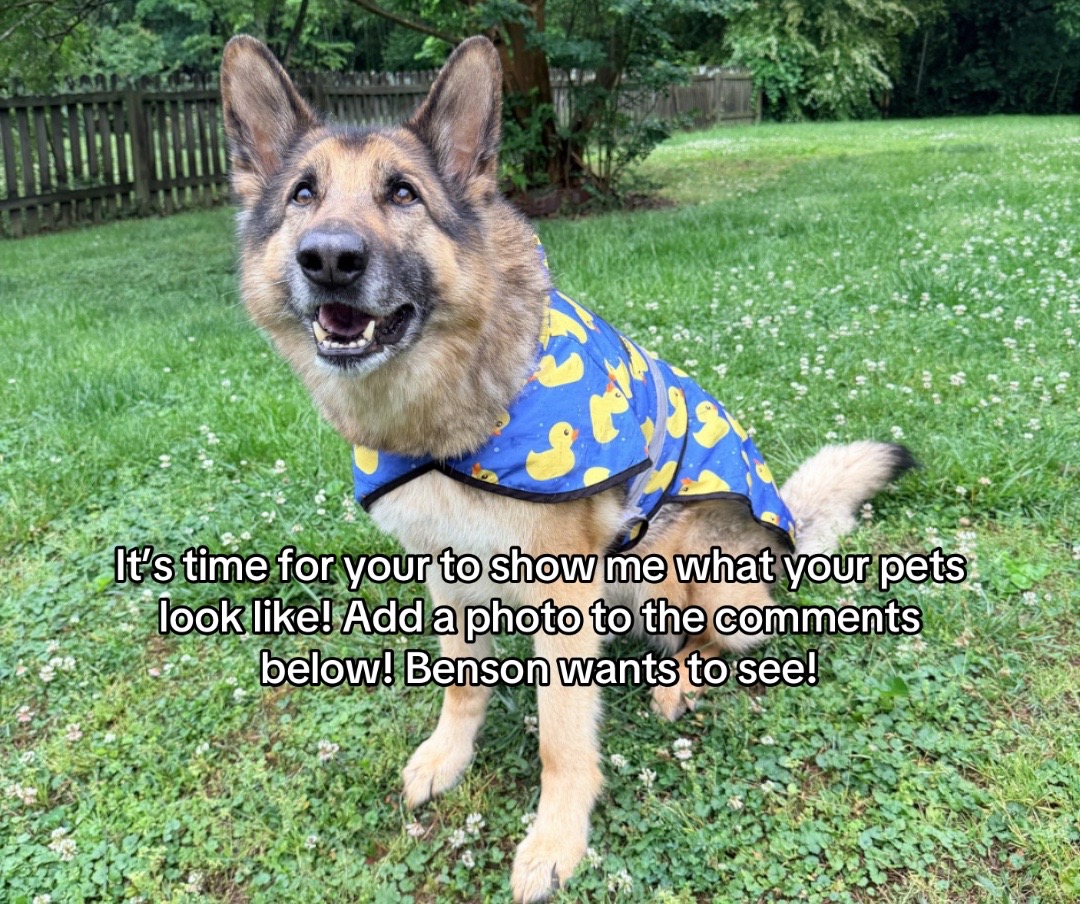 @Best Boy Benson