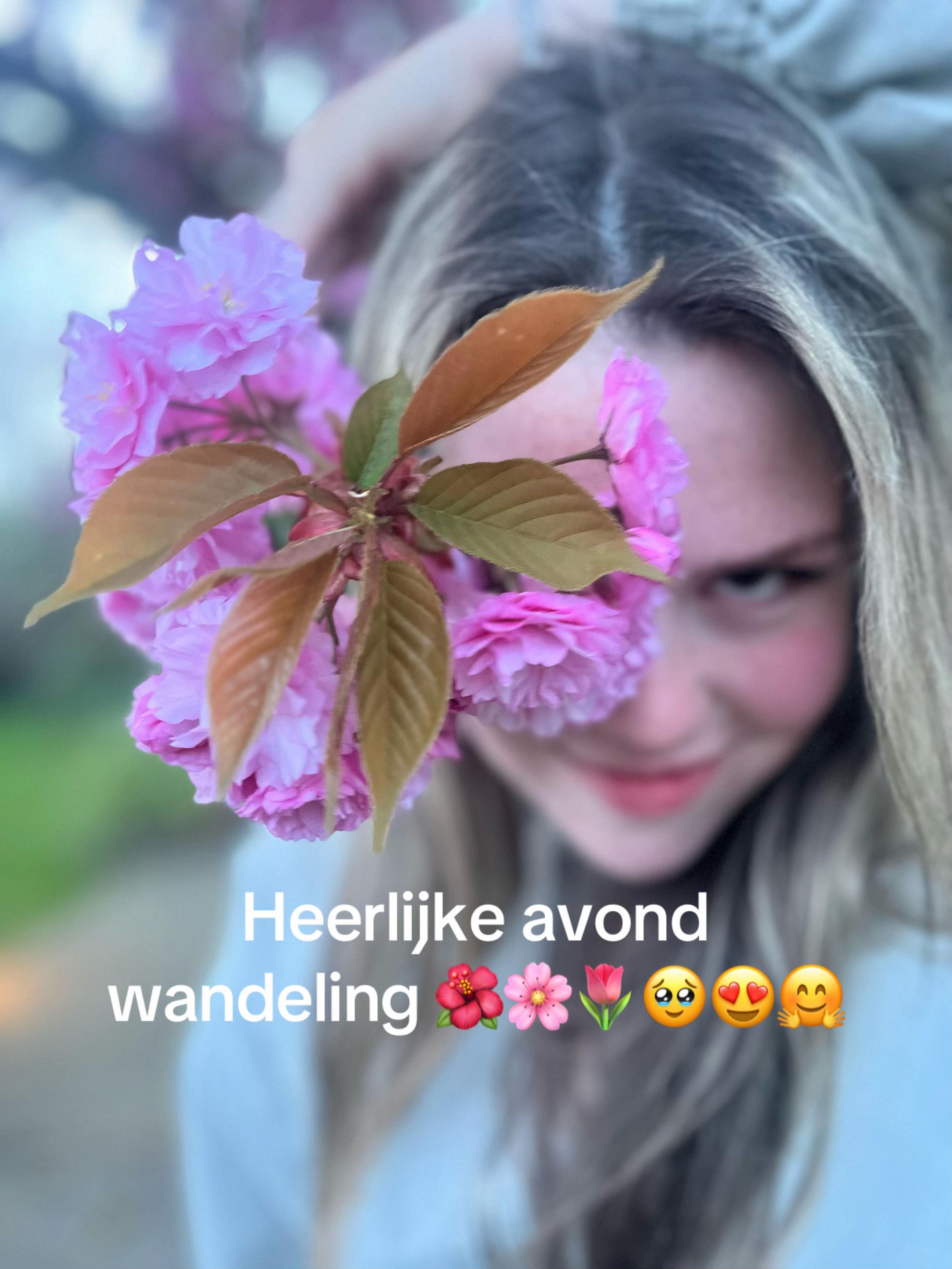@NORAH PAUW