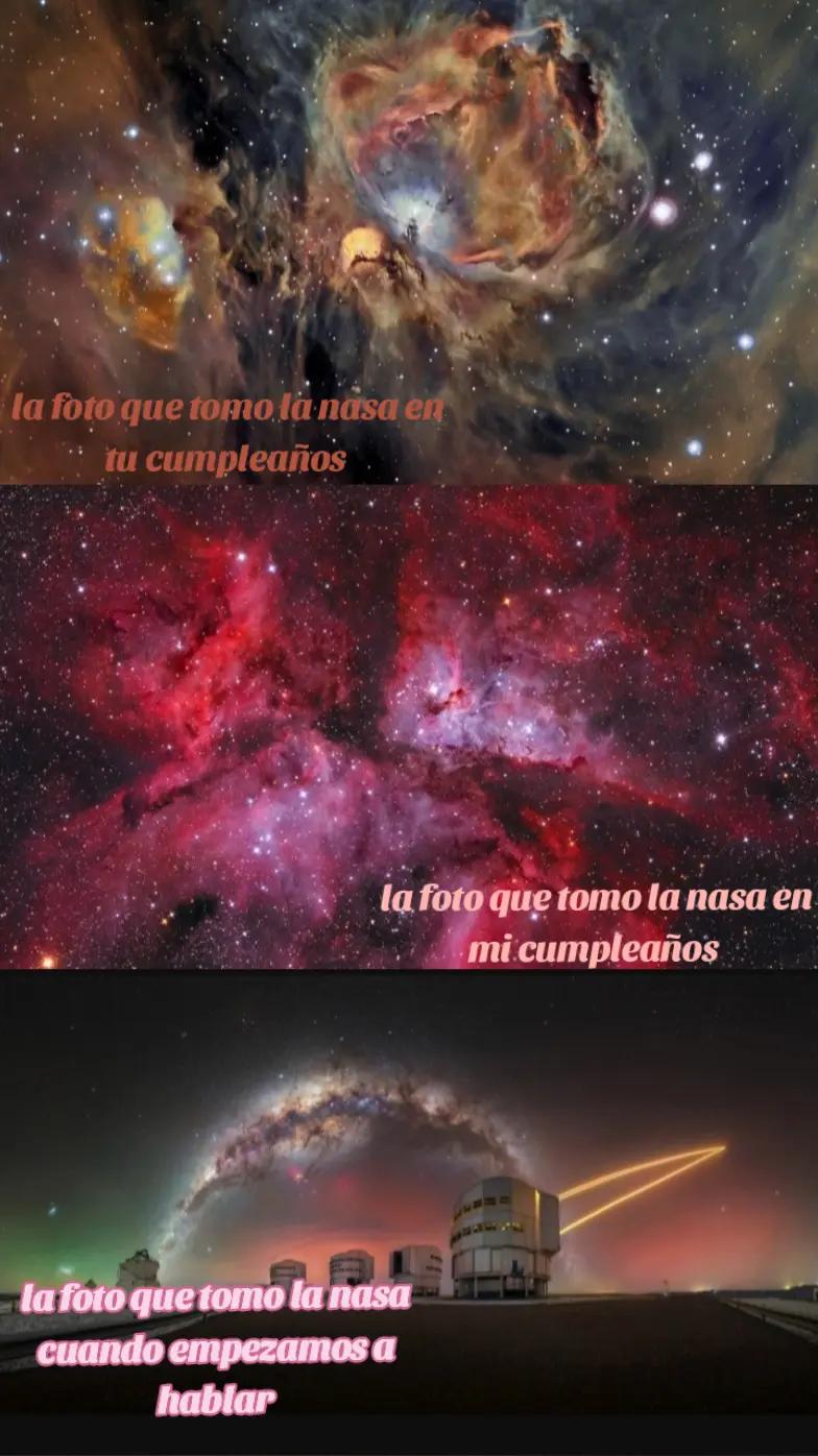 @⋆˚࿔ 𝜗 Vane 𝜚˚⋆
