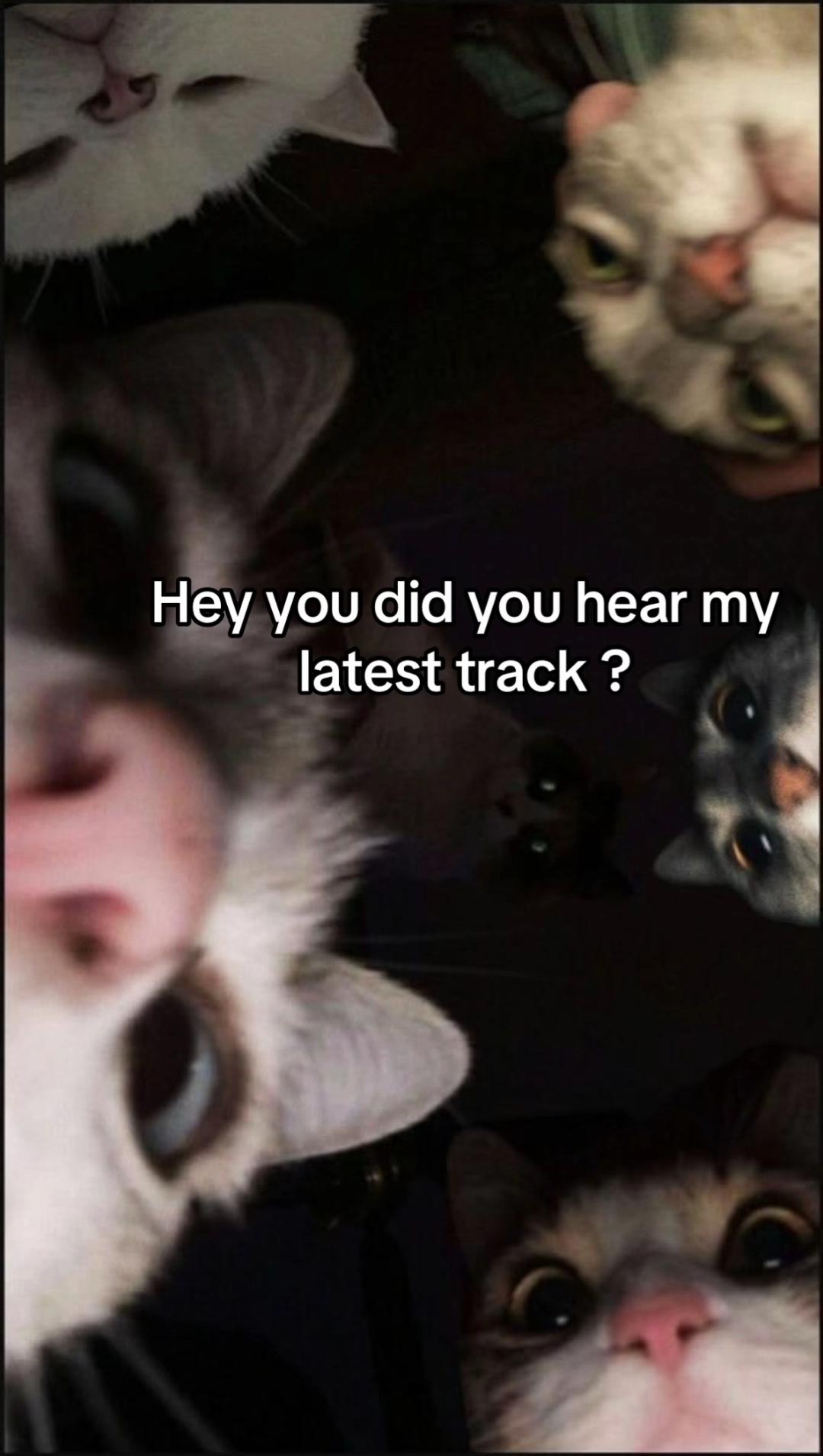 @SYNEYE
