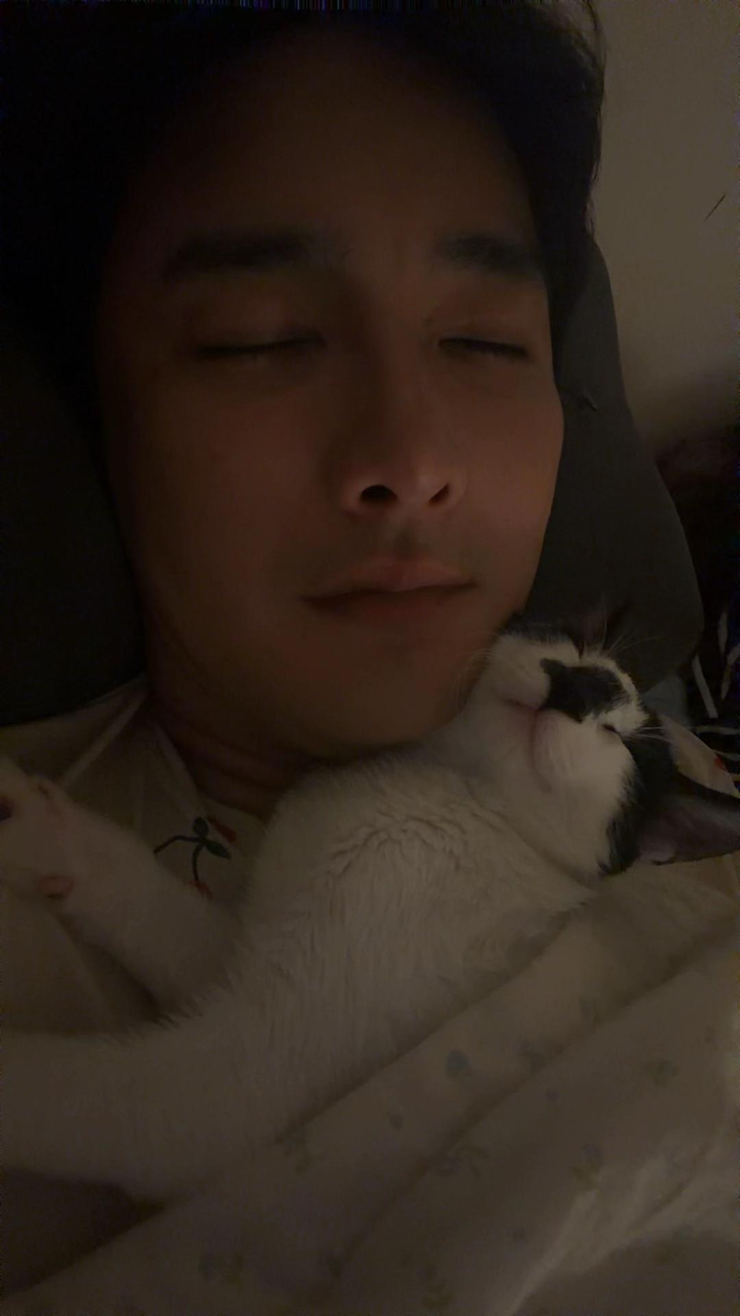 @🐈&zwj;⬛여준🐈&zwj;⬛