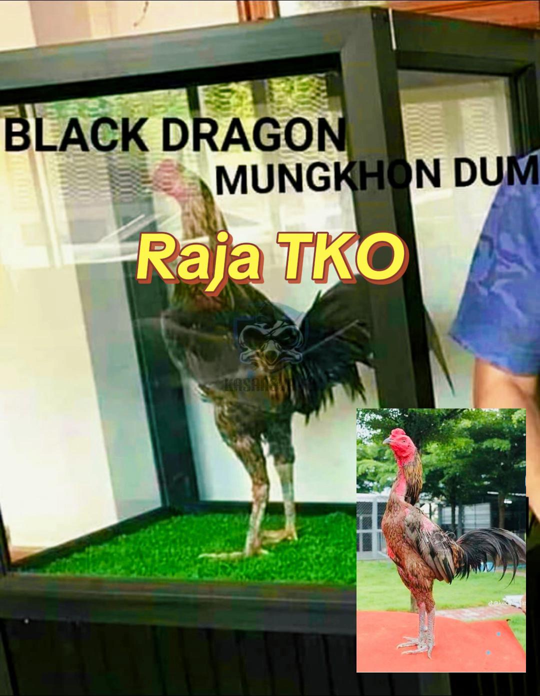 @Nikhakiem