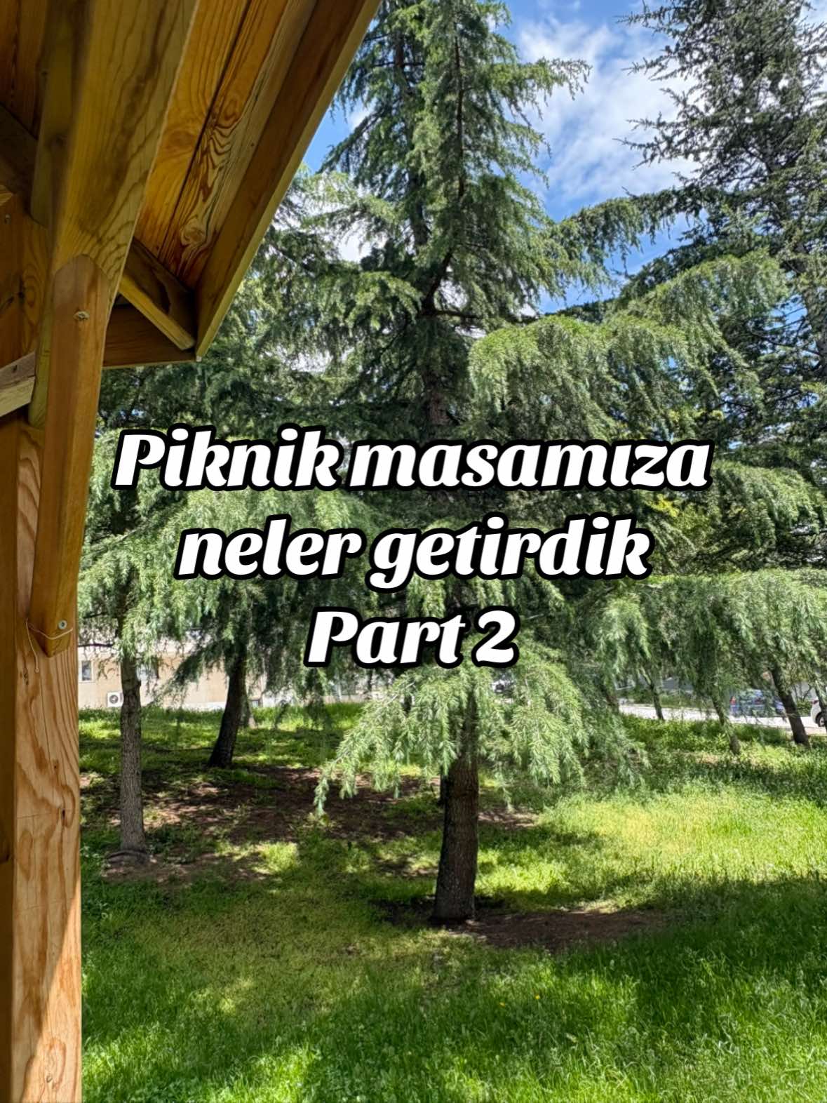 @nazzvlogg
