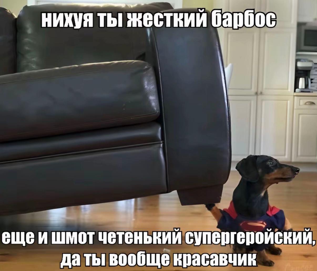 @тгк:тимак⚔️