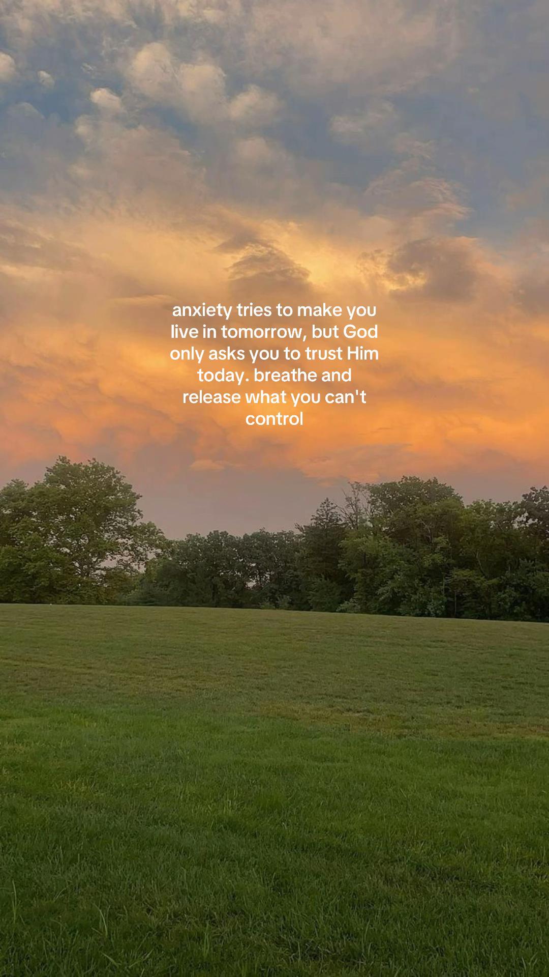 @🦋
