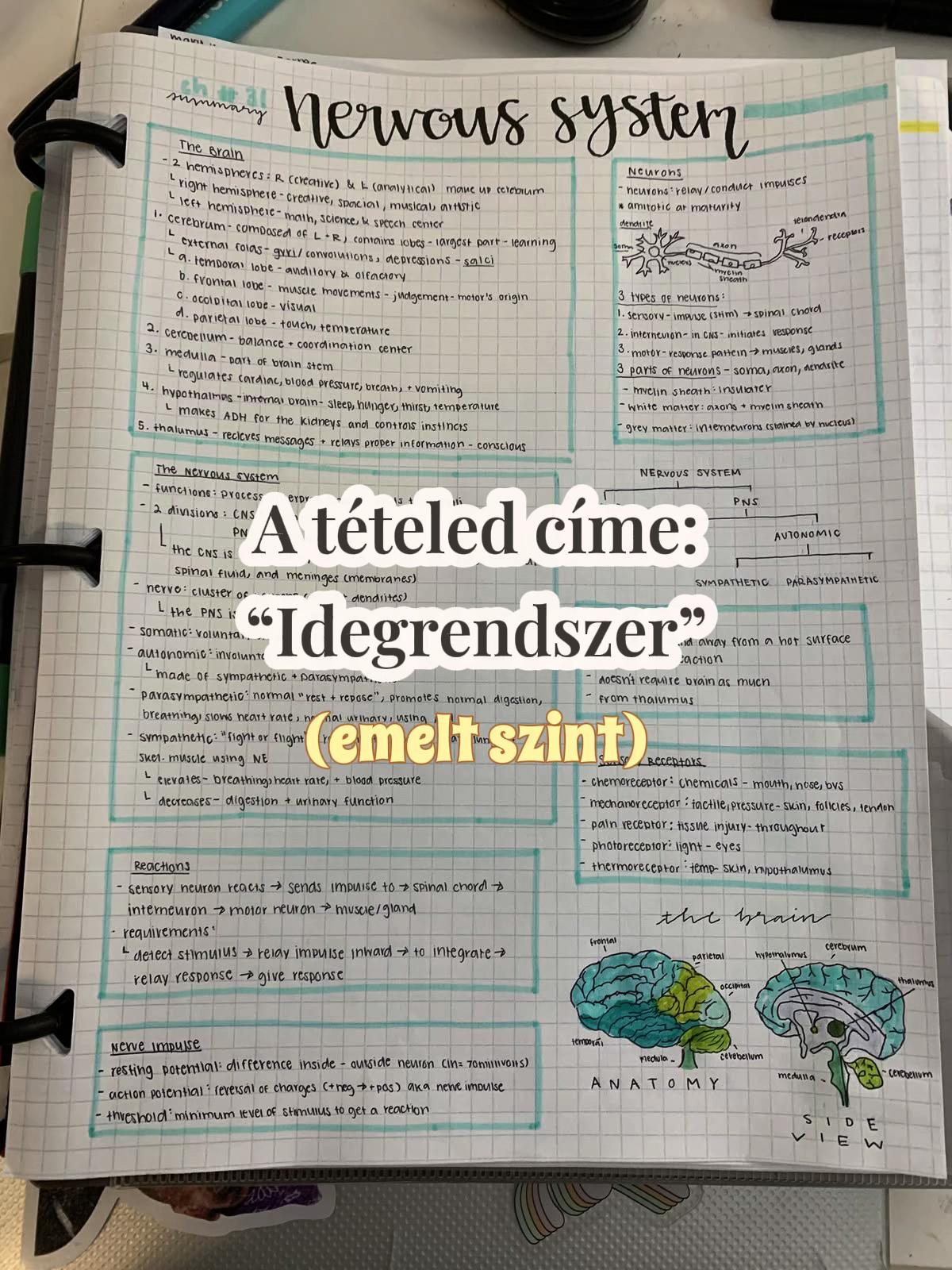 @MissMitokondria👩🏼🏫
