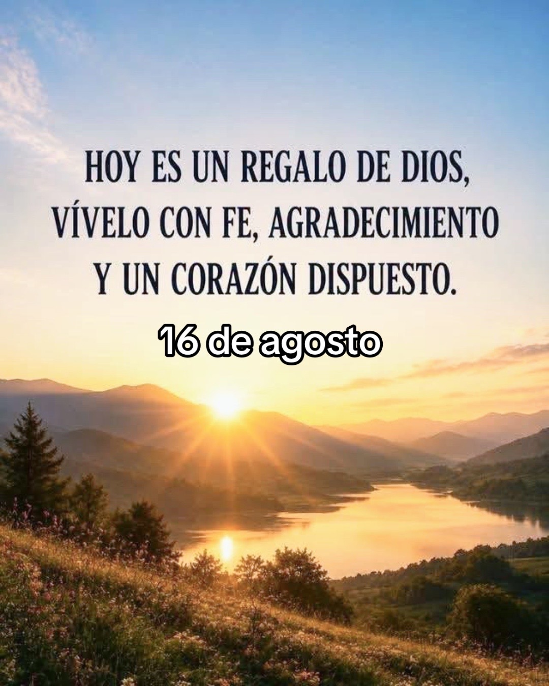 @8luisplaza8