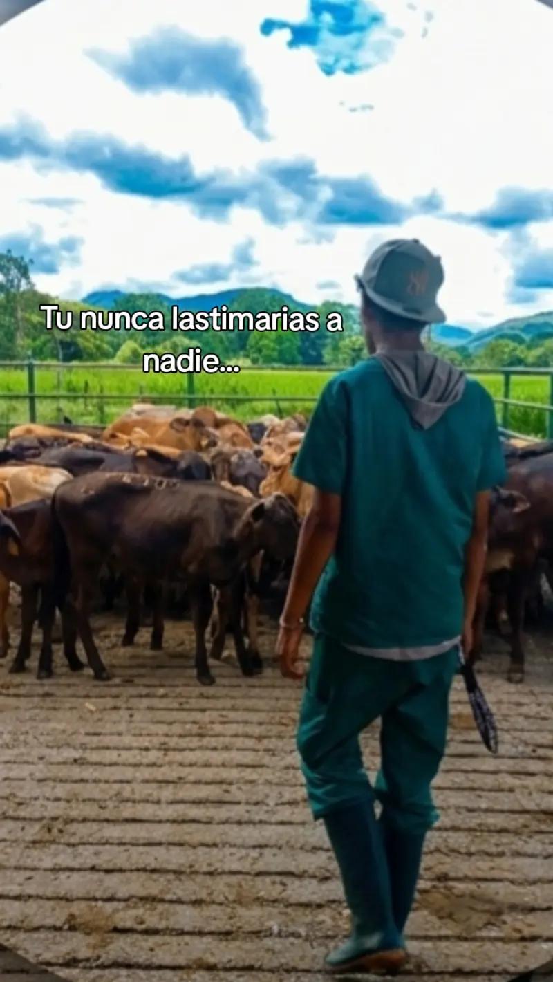 @NL_Jose18