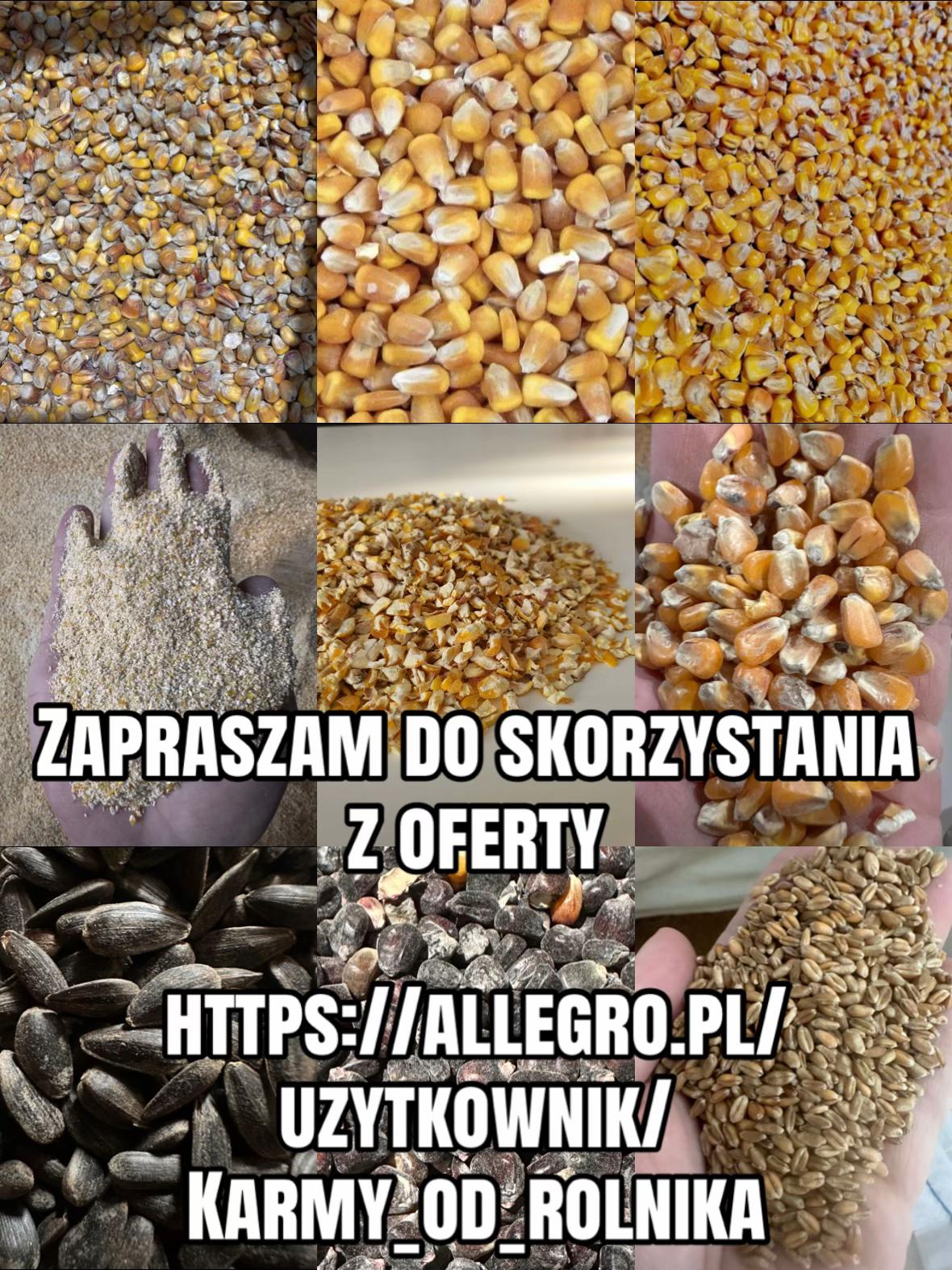 @AgroKacpry