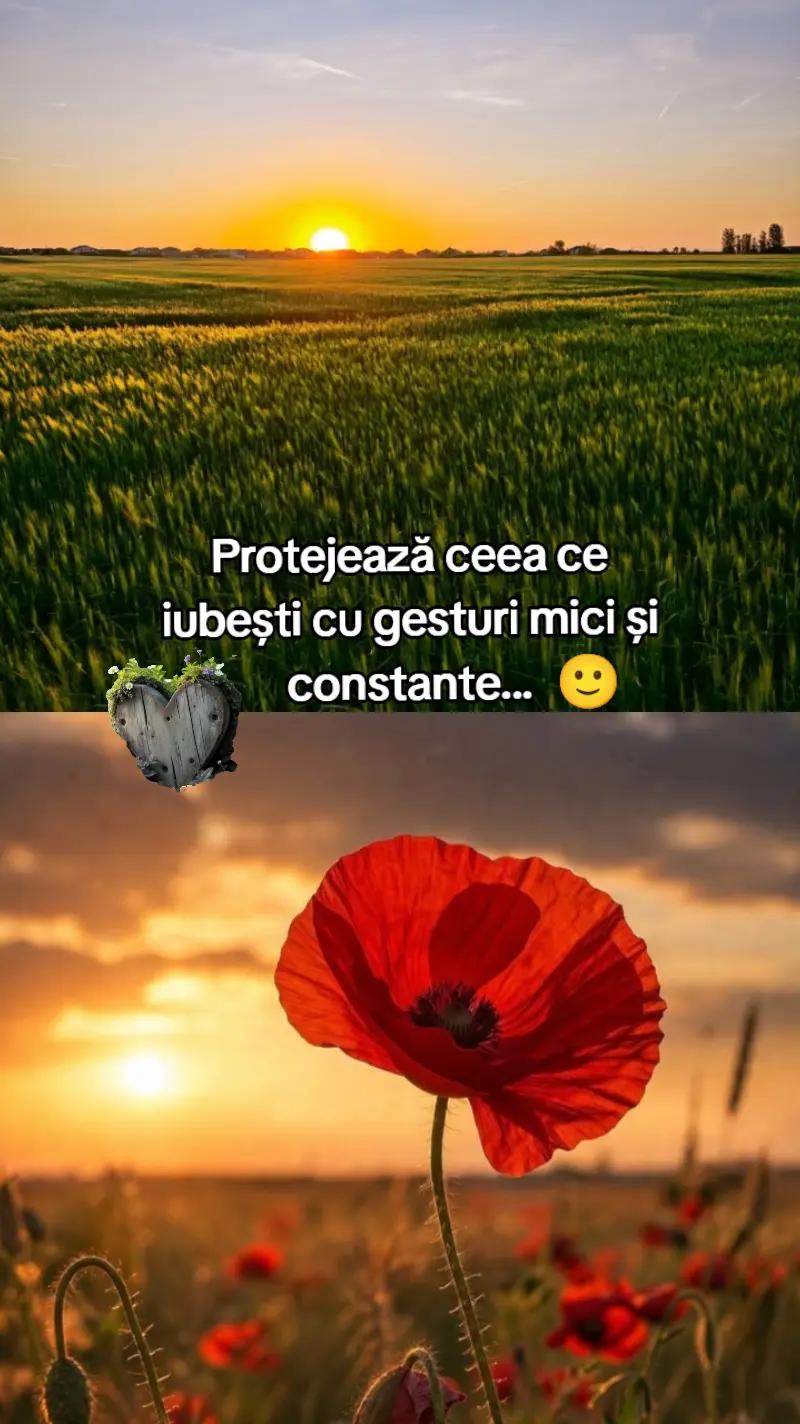 @Alina ๐๐ค๐๐