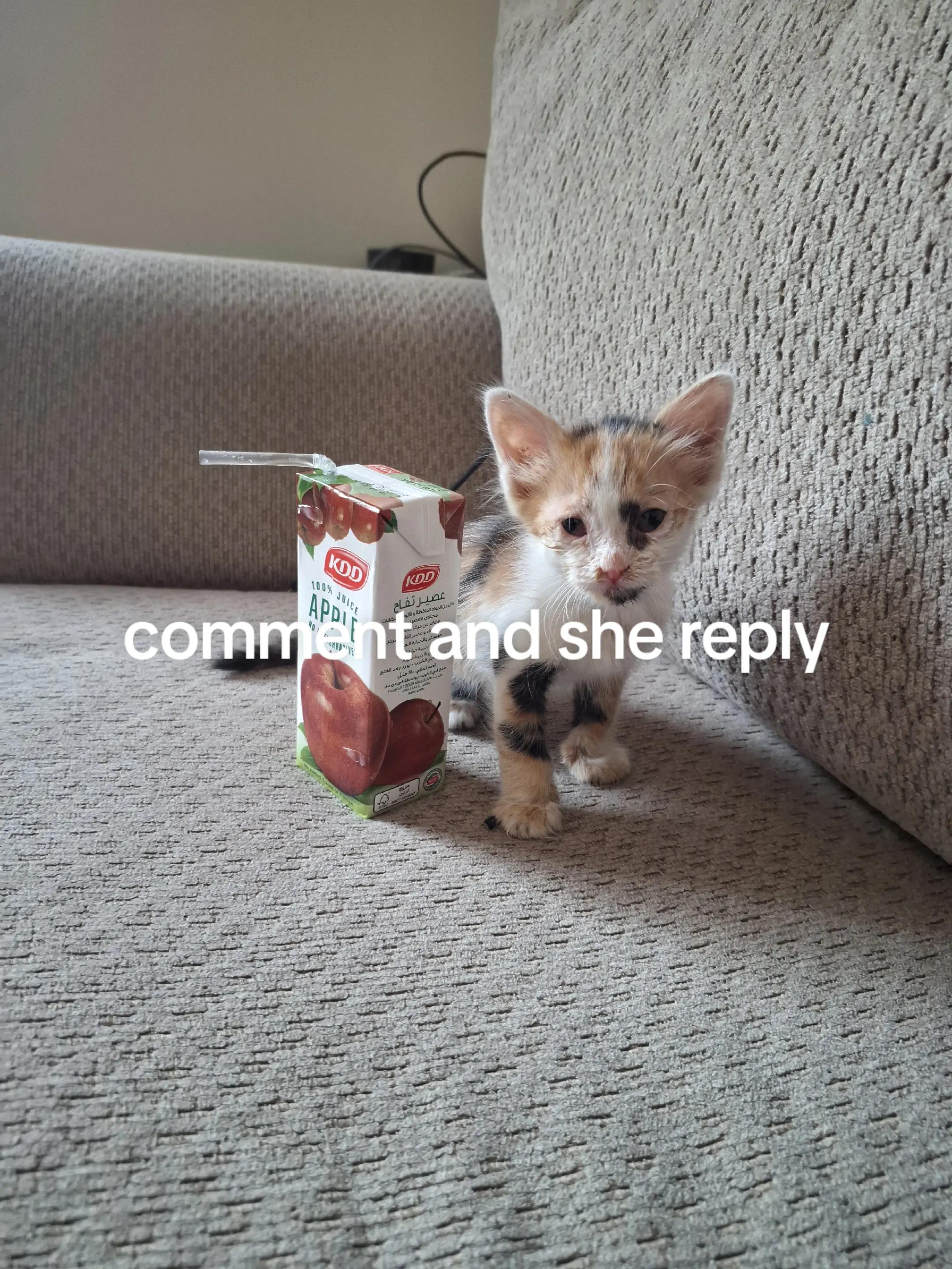 @Samski 냐흠