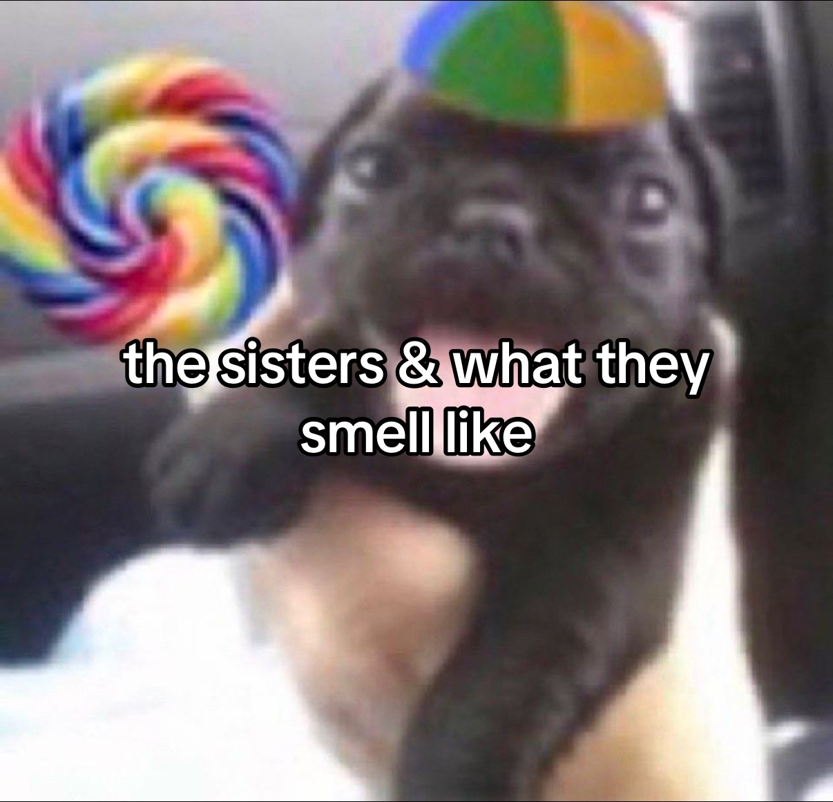 @toxic lesbian ๐