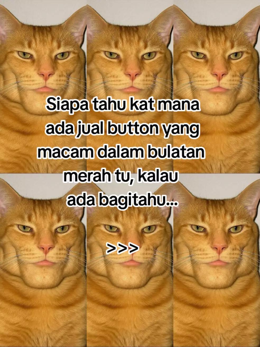 @HykalSazer01